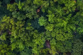 美哭！山东新开通一条高速，自泰安一路向南，串联临沂、枣庄。图片