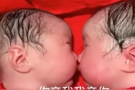 刚出生的龙凤胎兄妹就一直亲，护士想分都分不开，画面超级暖心图片
