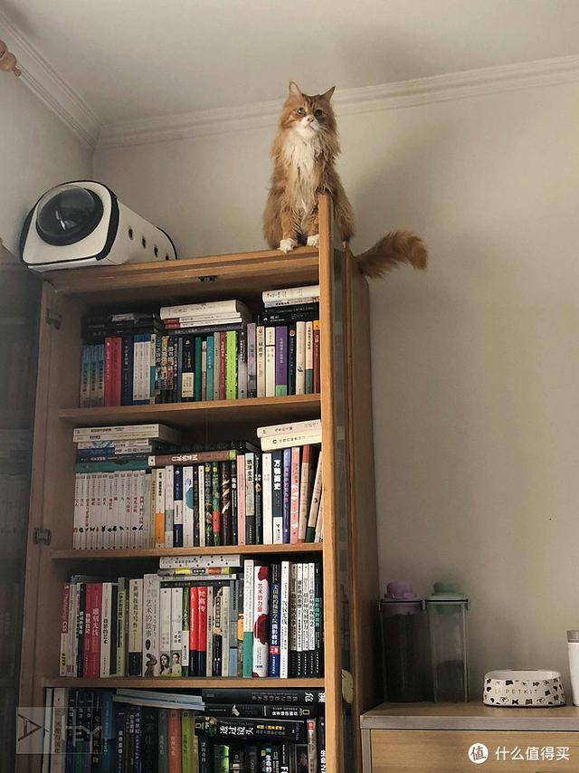 ����1400+�����ϱ�����Ƽ��鵥 ��800��С˵��������������ʮ��