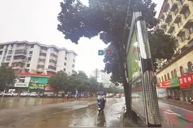 注意！这个“T”型路口信号灯有调整图片
