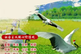 【社会主义核心价值观阐释】自由：社会主义的价值理想图片