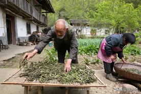 神仙夫妻：他89岁她85岁，结婚73年，种地养猪养鸡，顿顿有肉吃图片