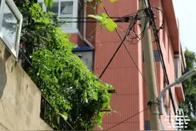 系列整治，旧楼院这样改！图片