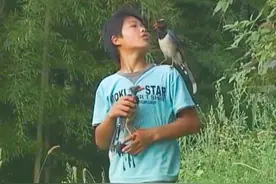湖南12岁少年精通鸟语，指挥鸟儿做事，传说中的“鸟神”被找到？图片