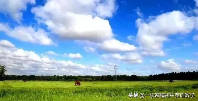 1600个中考必考核心词汇（B）