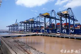 4月出口同比增长8.7%！非常之时，是什么让宁波外贸逆流而上？图片