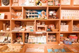 2021日本文具大赏出炉！看得文具控们只想去文具屋疯狂买买买图片