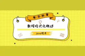 java之数据格式化图片