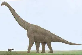 长颈鹿弱爆了，我国这种恐龙光脖子就长16米，等于3只长颈鹿相接图片