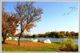 看完，你再离不开固安......图片