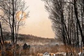 80年代东北老照片，冬日里的慵懒时光，三大怪与三大宝图片