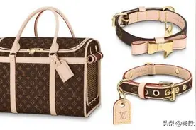 超宠溺！高颜值奢侈品宠物用品图片