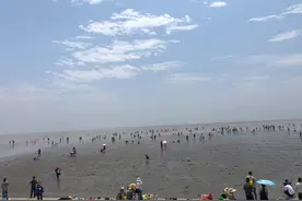 在上海这座海滨城市想看海可能没想象的那么容易-记奉贤海滩赶海图片