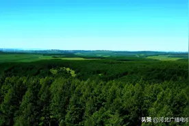 河北省塞罕坝机械林场再获联合国最高荣誉图片