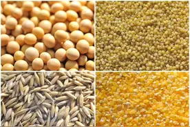 拯救零食荒！英伦之恋小米锅巴为什么这么好吃？图片