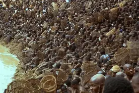 9.7！这神片后劲太大，四刷后，我终于看懂…图片