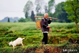 “小”组长发挥“大”作用｜农村小组组长有国家补贴工资吗？图片