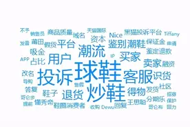 国产球鞋被炒至天价！饱受诟病的得物APP为何会成为众矢之的？图片