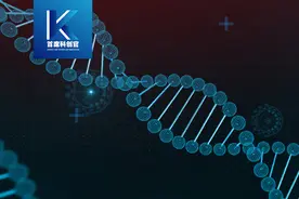 靠解读“基因密码”年赚15亿，诺禾致源第三次IPO能成功吗？图片