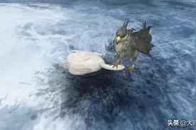 海东青珍贵的真实原因，帮人类获得珍宝图片