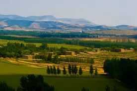 街道办一张《告知书》后就将大棚房拆了？法院：强拆程序违法图片