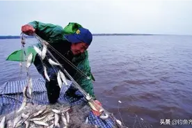 8毫米网眼一晚捞鱼1200斤！松花江要重演长江“无鱼”的悲剧？图片