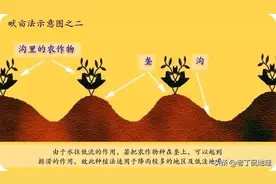 地理：垄沟种植图片