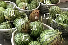 顶流偶像华晨宇和张碧晨有孩子！牵涉出29位巨星辟谣图片