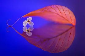 真正看破红尘的人，往往会在这几个方面心如止水，若遇到，请恭敬图片