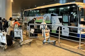 绿卡、保命二选一！澳籍华人回国避难面临抉择，中方下令不再心软图片