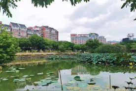 福建这个免费公园，诞生于唐朝，因颜值高被评为中国名园图片