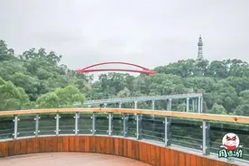 超6000亩！福州将添大型野生动植物王国，玩法多多图片