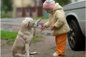 如果狗狗有这6种表现，那么恭喜你，它这辈子是来报恩的图片