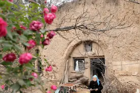 山村86岁老奶奶独居地坑院，如今村头打工养活自己，午饭猪油白菜图片
