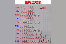 鱼钩型号一览表图片