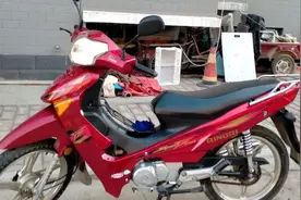 卖摩托车有要的的打15254136619这个电话图片