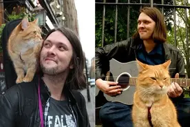 “流浪猫鲍勃”去世，铲屎官：我生命中的光已经熄灭图片