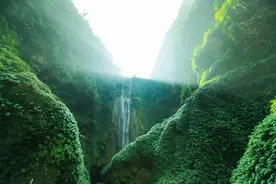 世界上最大的天坑在广西，地底下的原始森林，藏有哪些稀世珍宝图片