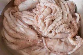 八爪鱼一炒就老，很多人做不好，海边人教你正确做法，鲜嫩又脆爽图片