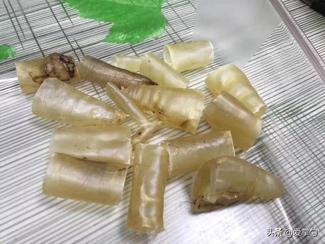 经常吃花胶果冻好吗 2026年经常吃花胶果冻好吗会胖吗