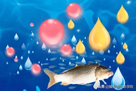 哪些香味适合钓鱼？哪种香型钓鱼效果好？钓鱼饵料的香味调配技巧图片