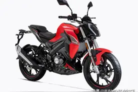 车友：又是墙内开花墙外香？贝纳利全新小迅龙180S海外上市图片