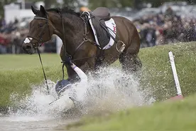 学骑马难免有时会摔马，如何减少不必要的落马次数？图片