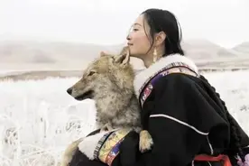 一个人与一匹狼，一段关于爱和自由的传奇图片