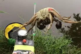 野钓遇到了千苦难解的问题，谁能告诉我如何破解。图片