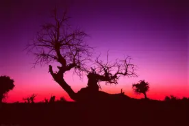 自驾游西安到额济纳，行程3000多公里，走河西走廊还是宁夏内蒙古图片