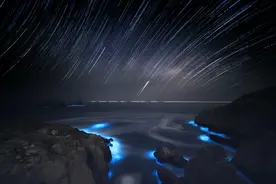 神秘的“蓝眼泪”再现宁波渔山岛！替马爸爸可惜，来早了一个月图片