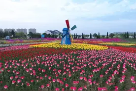 村级集体增收智库 | 兰陵县代村：落后村如何变身亿元村?图片