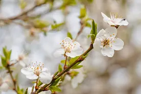 有一种相遇，是命中注定图片