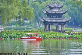 这几个公园“上新”了，有菊花、兰花、南瓜、石榴、山楂…图片